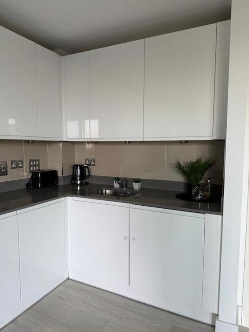 Modern 2 Bed Flat In Ealing Appartamento